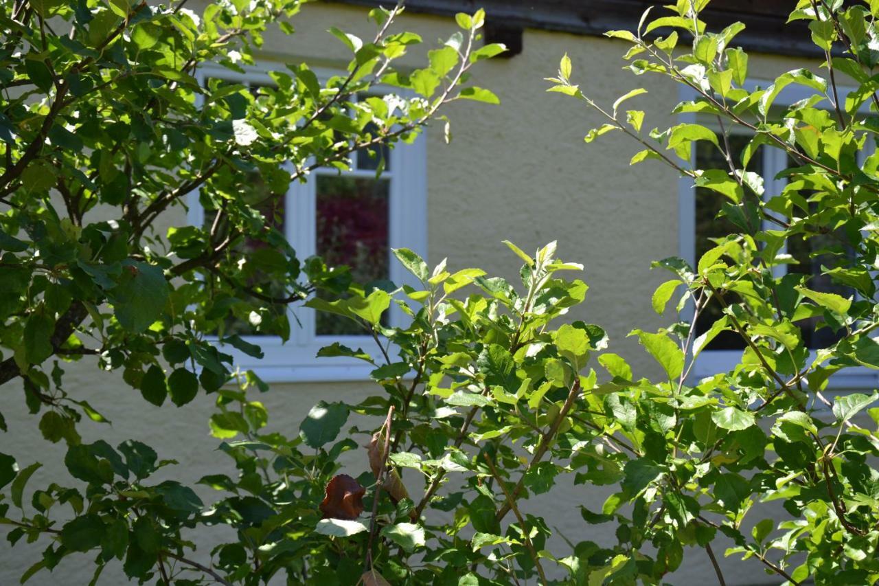 Coralie Apartment Strobl Exterior foto